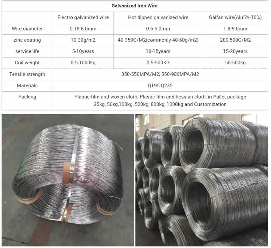 Galvanized Steel Wire